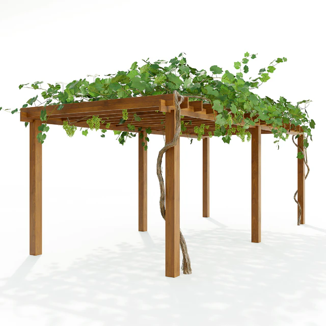 Pergola with grapes — Descargar
