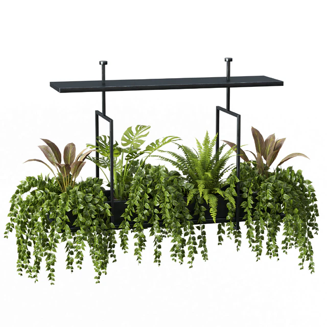 Indoor plant set 05-Hanging plants — Descargar