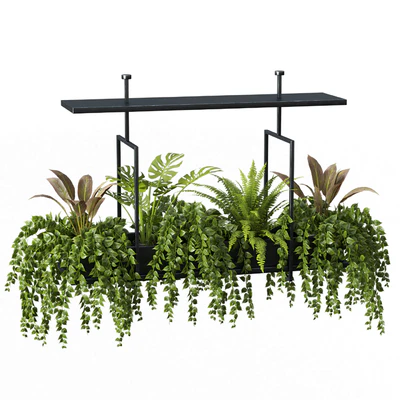 Indoor plant set 05-Hanging plants — Ver 5
