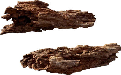 rotten log 001 — Скачать