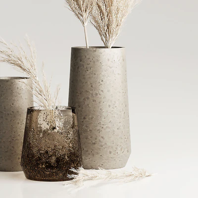 Dried Pampas Plant in Vases — Ver 4