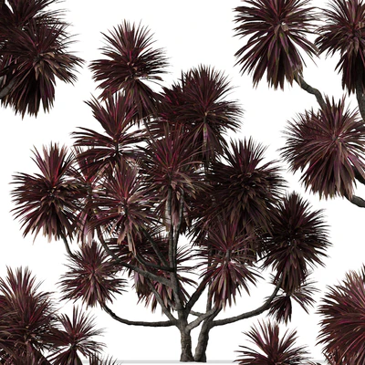 Set of Cordyline australis Trees (Cabbage Tree) (7 Trees) — Ver 5