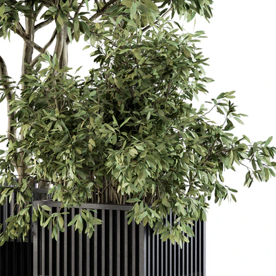 Outdoor Plant Set 276 - Plant Set in Metal Pot — Вид 4