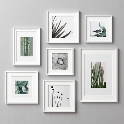 Picture Frames Set -163 — Ver 5