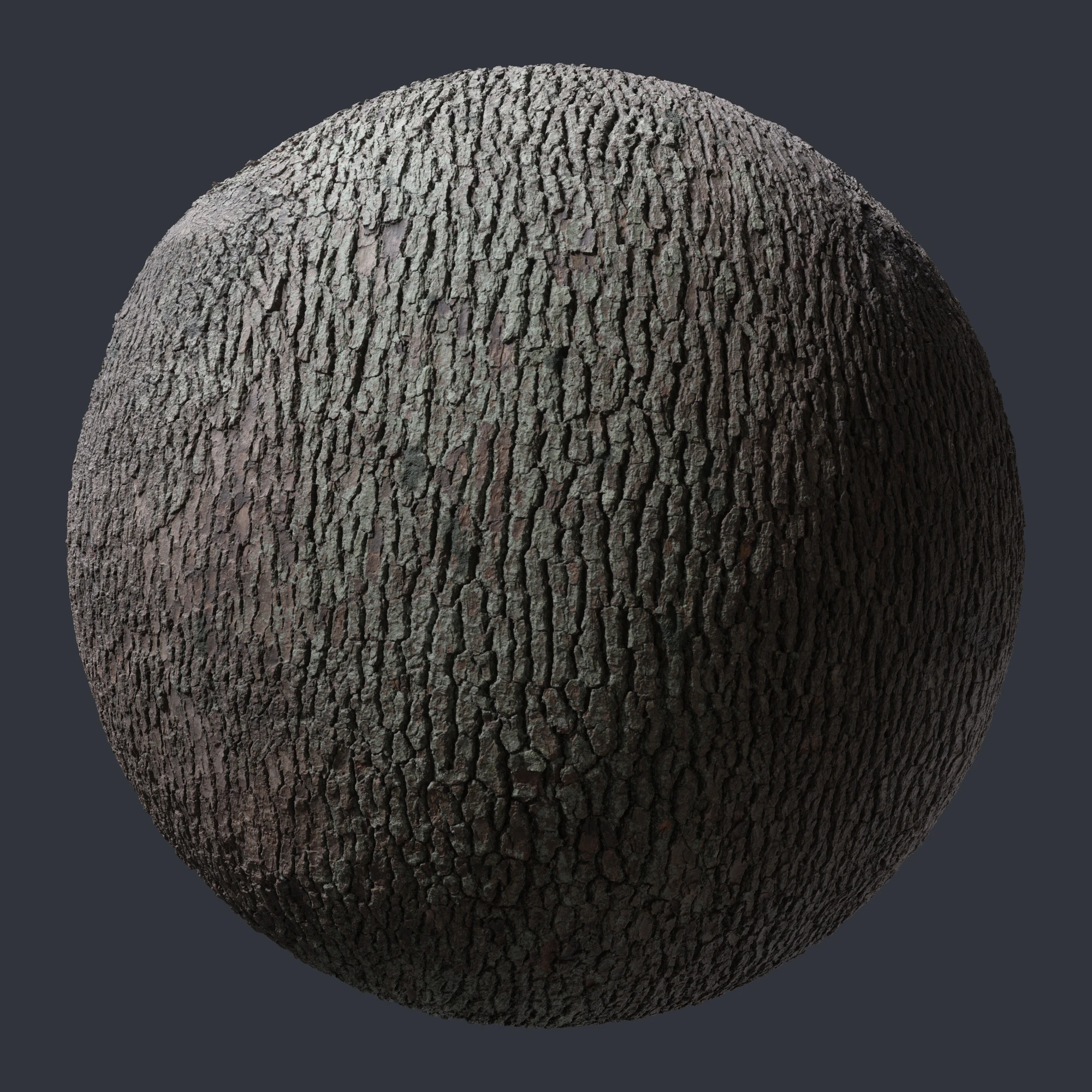 oak bark 011 — Скачать