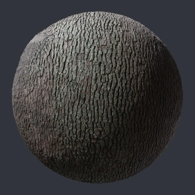 oak bark 011 — скачать