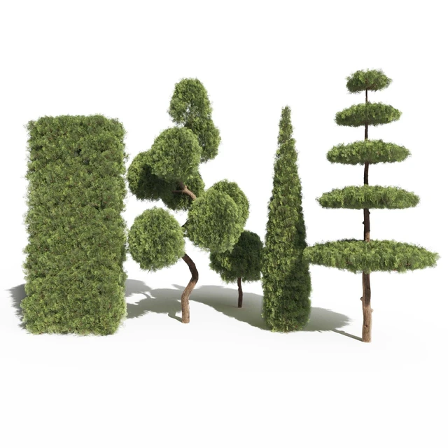 Туя №2 (Thuja #2) — Скачать