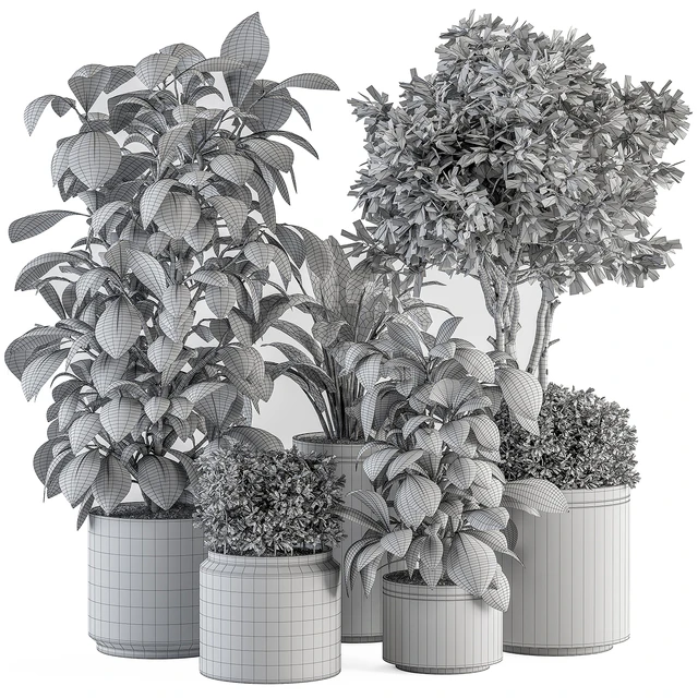 indoor Plant Set 378- Tree and Plant Set in pot — Descargar