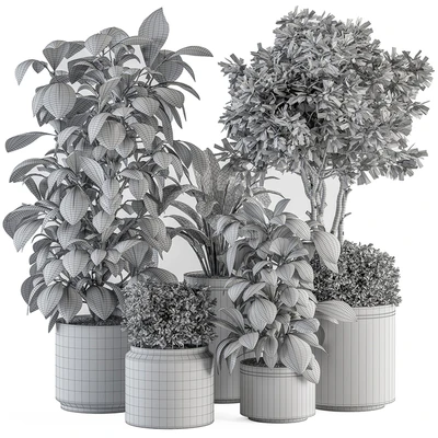 indoor Plant Set 378- Tree and Plant Set in pot — Ver 5
