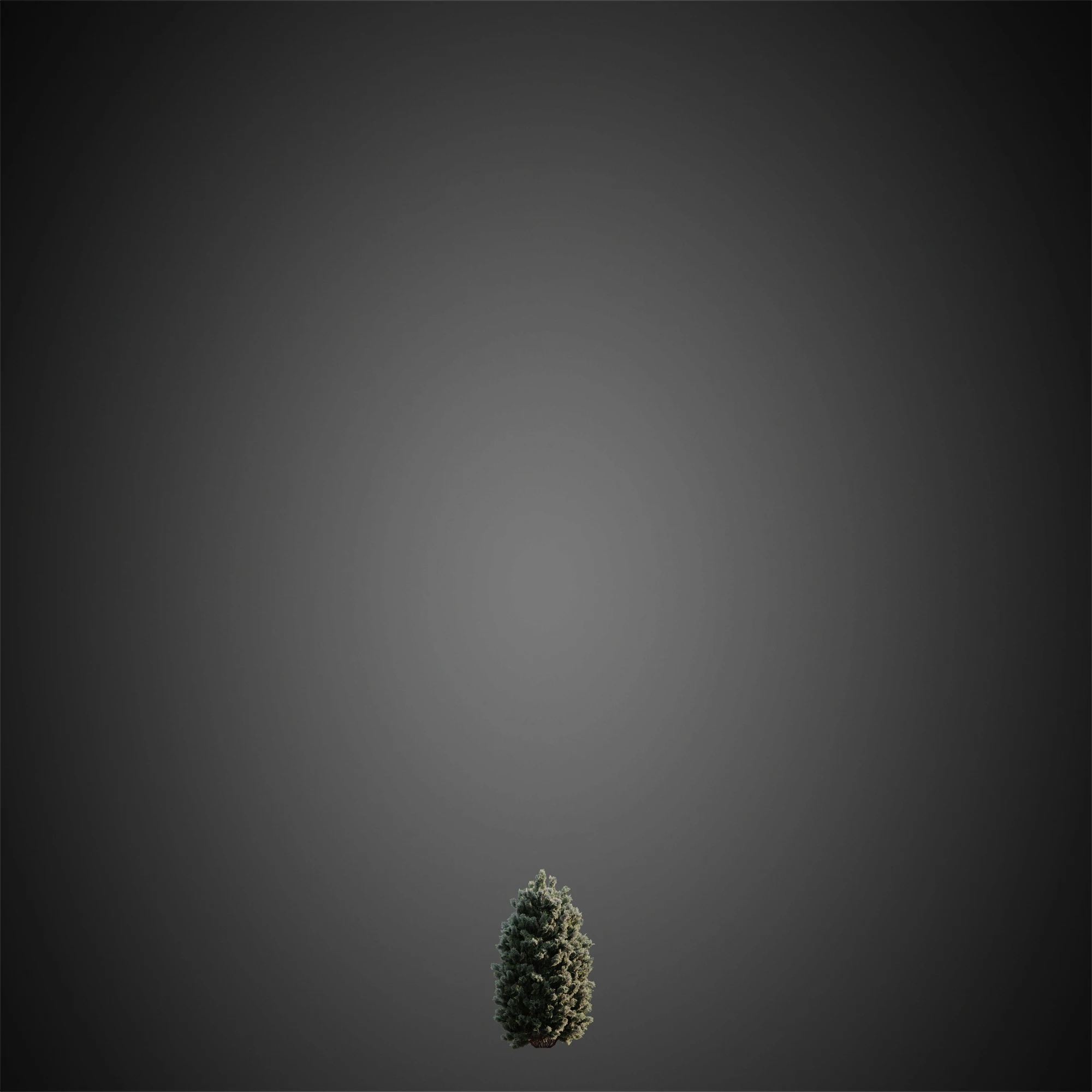 023 — Descargar