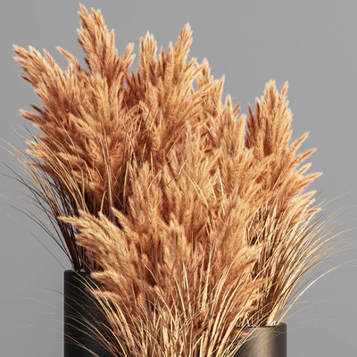 Indoor Plant Set 48 (pampas) — Ver 4