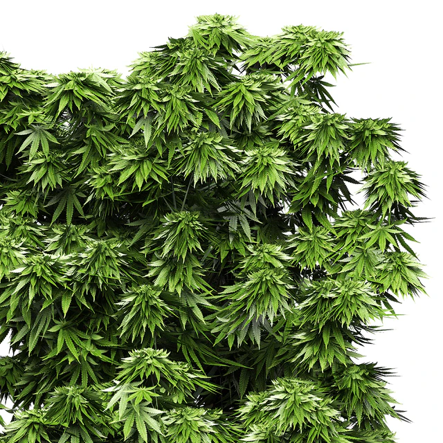 Flower Pack 143 — Скачать