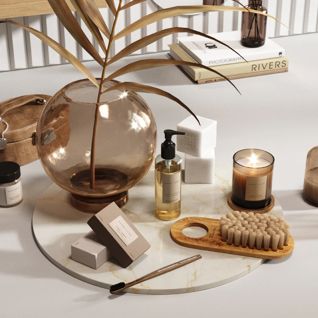 Decorative Set Z ara H ome — Descargar