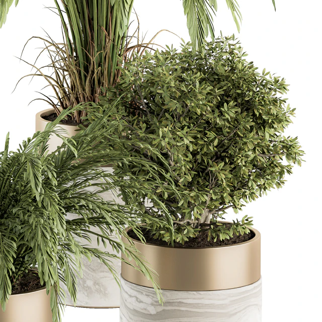 indoor Plant Set 245 - Plant Set in pot — Descargar