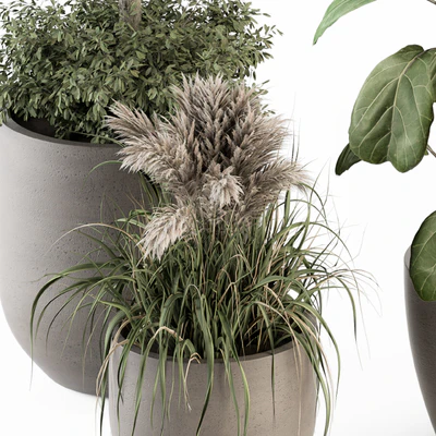 indoor Plant Set 264 - Plant Set in pot — Вид 7