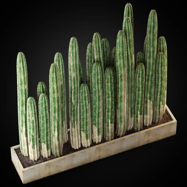 Plants collection 266 — Скачать