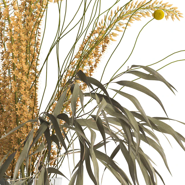 Eremurus & eucalyptus & craspedia bouquet — Descargar