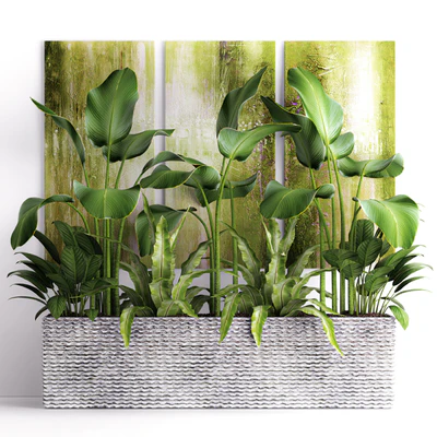 The collection of plants in pots 16. green painting, calathea lutea, asplenium, bushes, pot, flowerpot, concrete — Ver 1