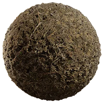 grass dried 046 — Скачать
