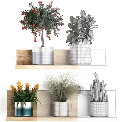 Plant Collection 409. Shelf with flowers, Pomegranate, Ficus, cactus, bromeliad, grass, indoor plants, luxury pot, eco design — Ver 3