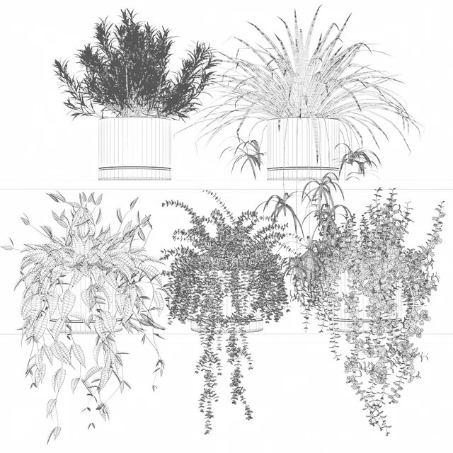 Potted plants on the shelf — Descargar