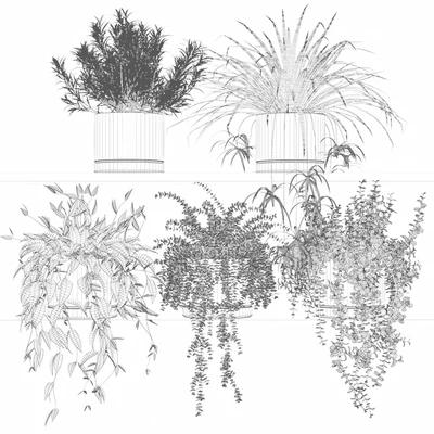 Potted plants on the shelf — Ver 3