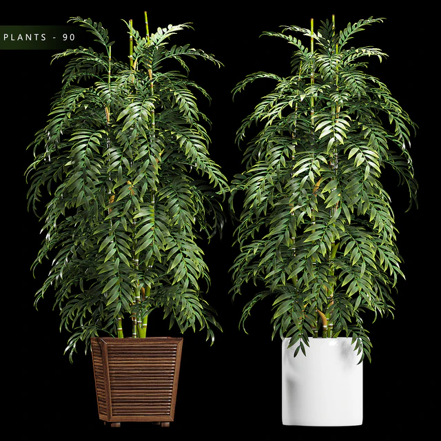 PLANTS 90 — Скачать