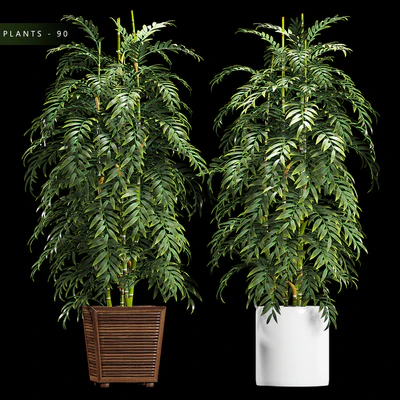 PLANTS 90 — Скачать
