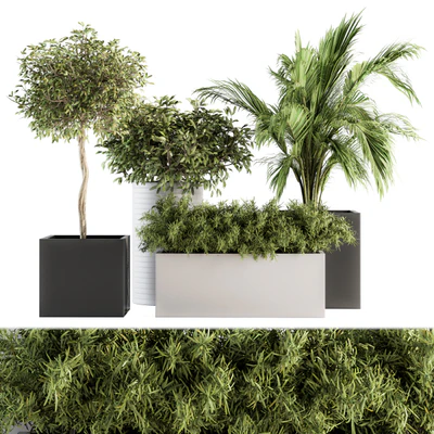 indoor Plant Set 188 - Plant Boxes — Вид 1
