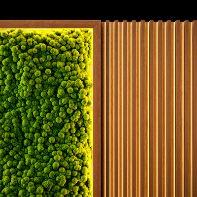 PhytoWall — Вид 3