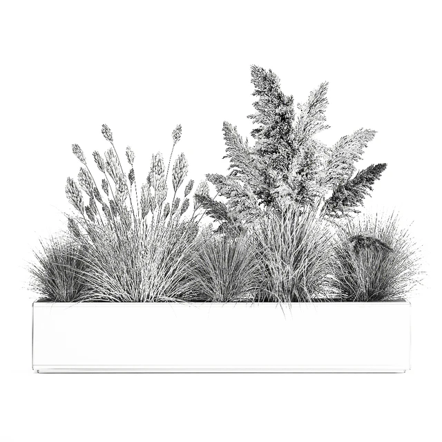 Collection of plants in a pot Pampas grass, reeds, bushes, landscape design, white, flowerbed. Set 1077 — Descargar
