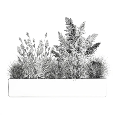 Collection of plants in a pot Pampas grass, reeds, bushes, landscape design, white, flowerbed. Set 1077 — Ver 7