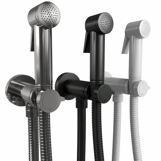 Sanitary shower Bossini Paloma — Descargar