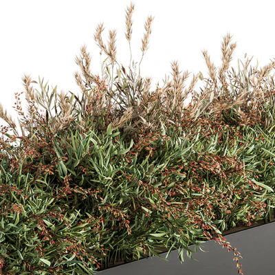 Outdoor Plant Set 166 - Plant Box Bush — Вид 5