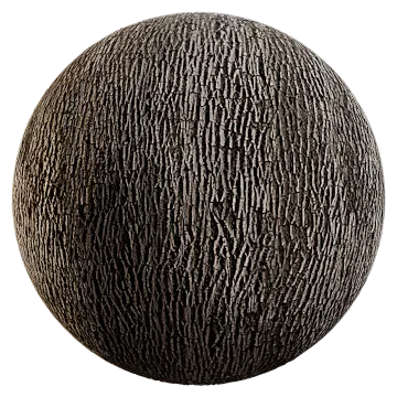 walnut tree bark 001 — Descargar