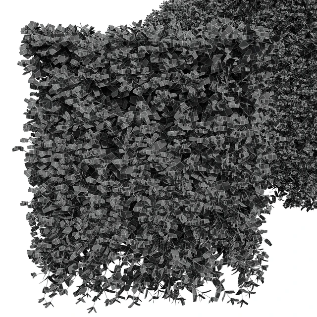 New Plant Ficus Concinna Bonsai Pruned07 — Descargar