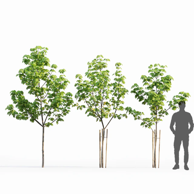 Acer — Descargar