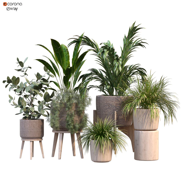 plant in vase collection set 214 — Descargar