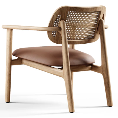 Vincent Sheppard - Titus lounge chair — Вид 6