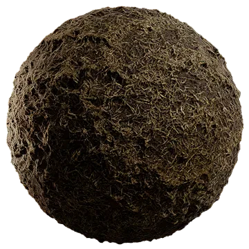 dried grass on damp soil 011 — Descargar