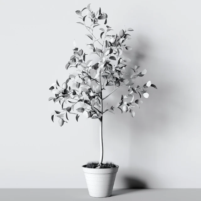 Plant 003 — Скачать
