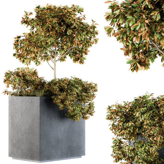 Outdoor Plants in Concrete Plant Box - Set 98 — Descargar