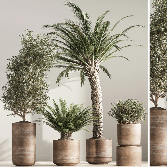 indoor plant set 36 — Скачать