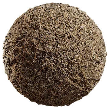 grass dried 004 — Descargar