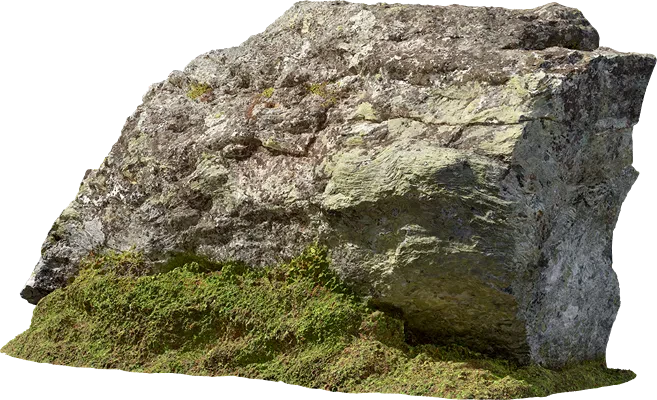 tundra mossy boulder 003 — Descargar