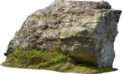 tundra mossy boulder 003 — Descargar
