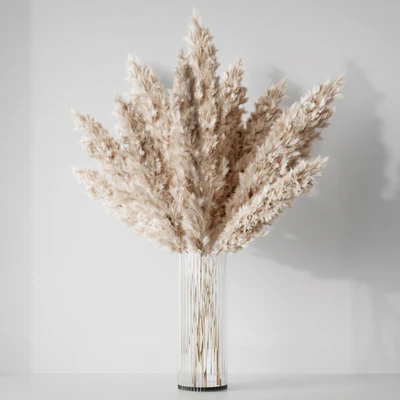 Pampas — Ver 1