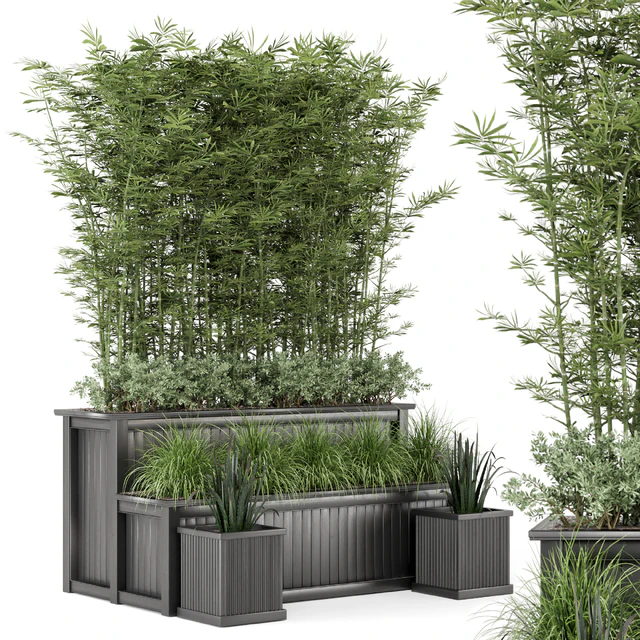 Outdoor Plants Bamboo and bush in Wooden Pot -Set 195 — Скачать