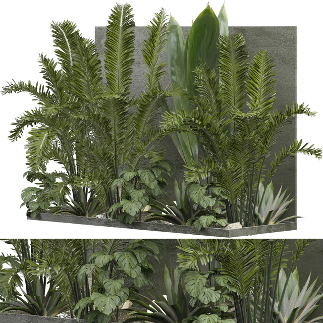 Outdoor Plant 239 — Descargar
