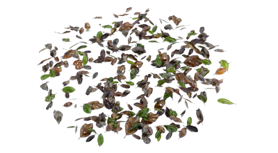 dead leaves 003 — Descargar